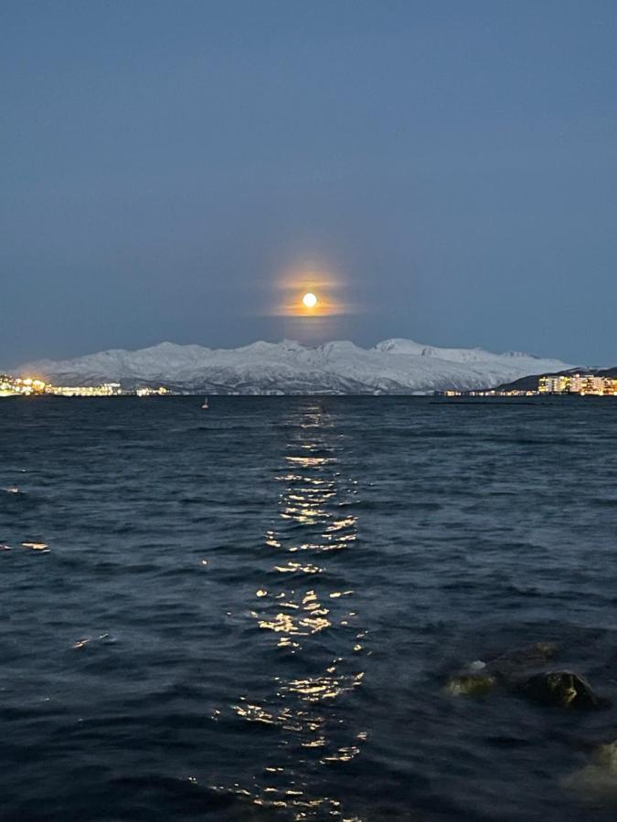 Appartment Close To The City, Ocean And Mountains -Tromsø Eksteriør billede